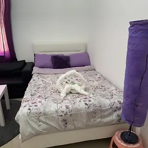  Проживание в семье The Purple Place ОАЭ